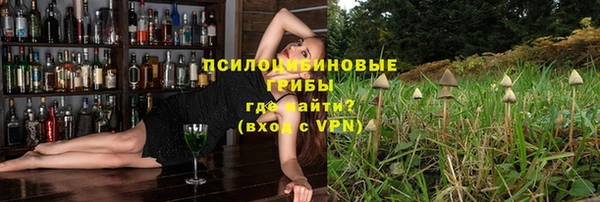 амф Алексин