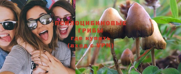 амф Алексин
