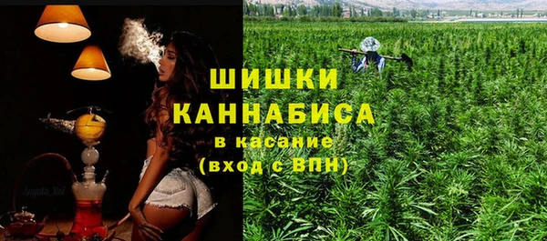 амф Алексин